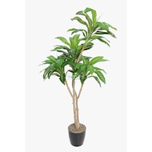 Yapay Ağaç Lüx 4 Gövdeli Cordyline 180 Cm Yeşil-sarı