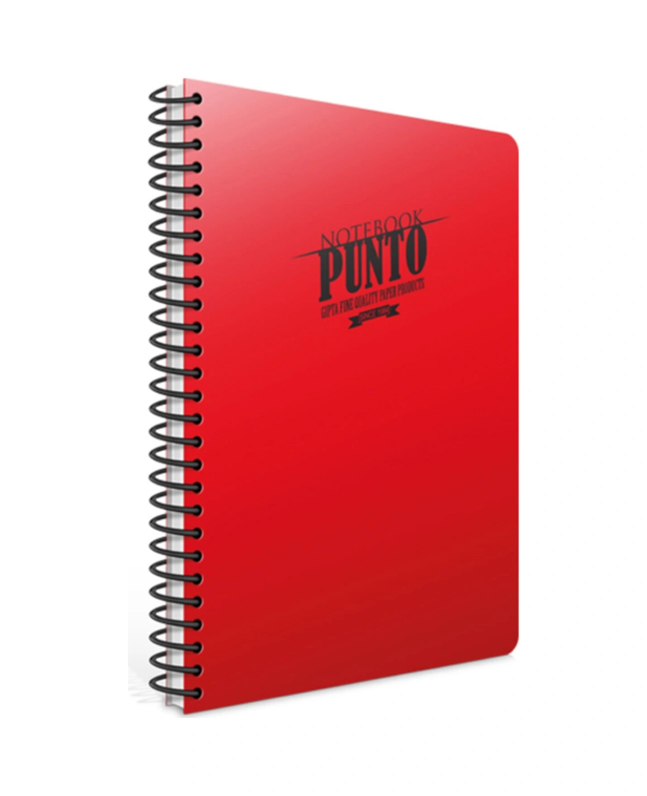 Spiralli Defter Punto Plastik Kapak Çizgili 100 Yp A4 3-6536000-2011