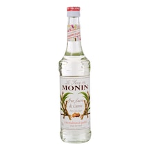 Monin Şeker Kamışı Şurup 700 ML