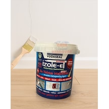 Izole Et 650 Gr Şeffaf Modifiye Polimer Su Yalıtım Malzemesi