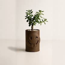 3d Baskı Emoji Planter - Göz Kırpan Yüzlü Sukulent Saksısı-kahverengi Çok Renkli