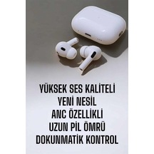 Sarı