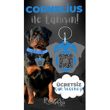 Petjoo 20.Cornelius Gri-Mavi Qr'lı Köpek Künyesi