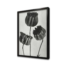 Siyah Beyaz Üçlü Çiçekler Çerçeveli Mdf Tablo-172211