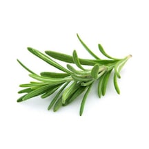 Biberiye Fidanı 20-30 Cm 15 Adet Rosmarinus Officinalis