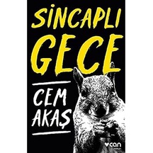 Sincaplı Gece - 57858324544946099215506