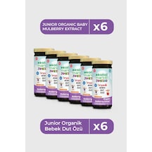 Organik Bebek Dut Özü 290 Gr 6 Lı Paket Organic Baby Mulberry Extract 290 Gr 6 Pack 290 G Organik Bebek Dut Özü 290 Gr 6 Lı Paket Organic Baby Mulberry Extract 290 Gr 6 Pack 290 G