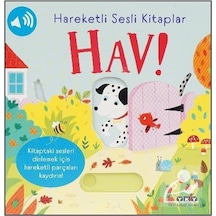 Hareketli Sesli Kitaplar / Hav / Sam Taplin