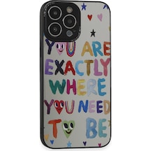 Newface - 120 - İphone 13 Pro Kılıf Mirror Desenli Kapak - Mirror - Edntrend - - 10