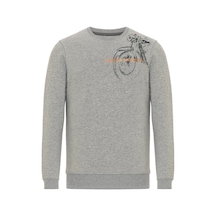 Routefield Harv Erkek Sweat-23394 Gri
