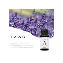 Akscent Lavanta Esansı 250 ML
