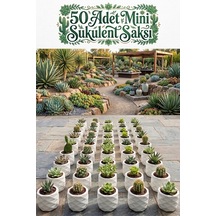 50