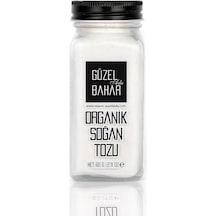 Güzel Ada Gıda Organik Tuzluklu Soğan Tozu 60 G