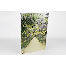 Mikasa Moor London Bloom Kitap Kutu 35x24x3cm