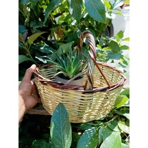 Kamış El Örgü Mini Piknik Sepeti Organizer
