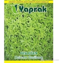 Çiçek Tohumu Fesleğen