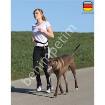 Köpek Koşu Tasması Active