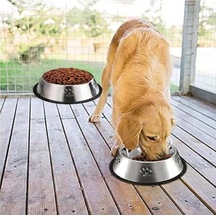 Paslanmaz Çelik Kedi Mama Ve Su Kabı, Köpek Çelik Mama Kabı, Kaymaz Lastikli Taban, Dayanıklı Besleme Tası, Kolay Temizlenebilir, 16 Oz/500 Ml 22 Cm