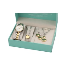 Daniel Klein Dk.1.13570.3 Gift Set Kadın Kol Saati