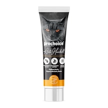 Anti Hairball Pasta Kediler İçin Kıl Yumağı Önleyici Vitamin 100 Ml