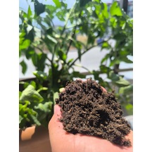 Ayrex 20 Lt Organik Torf, Genel Kullanım İçin Saksı Ve Dış Mekan Bitki Toprağı, 20 Lt 0,250