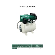 Auto Jet Pompa 1 İnç 1 Hp 0.75 Kw