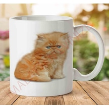 A2427 Kedi Yavrusu İki Tarafı Baskılı Kupa Bardak.jpg