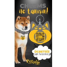 Petjoo 18.Cheems Sarı-Gri Qr'lı Köpek Künyesi