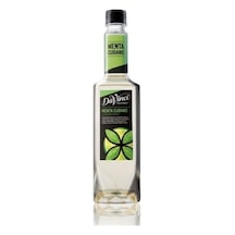 Davinci Gourmet Menta Cubano (Nane Lime) Şurup 750 ML