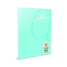 Gıpta Defter Dikişli Mica Plastik Kapak Çizgili 100 Yp A4 2488 Çok Renkli