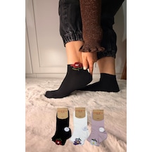Ozzy Socks 3 Çift Kadın Taş Detaylı Dikişsiz & Takviyeli Patik Çorap Kahverengi