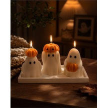 Casper Pumpkin Mum Seti Turuncu