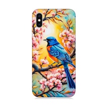 Apple Uyumlu iPhone X Pembe Dallarda Mavi Kuş Desenli Silikon Kılıf Çok Renkli