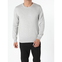 Colin's Regular Fit Bisiklet Yaka Erkek Gri Kazak CL1051445_Q1.V2_LGM