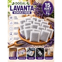 Lavanta