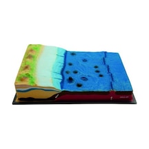 DENİZ DİBİNİN YAPISI