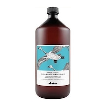 Davines Well Being Hassas Saç Derisi İçin nemlendirici Saç Bakım Kremi 1 L