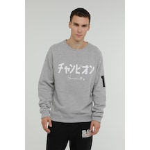 Superfly MEN SWEAT-1 Gri Erkek Sweatshirt Gri