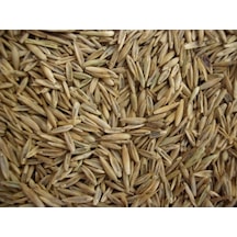 İthal Çim Tohumu 1 KG