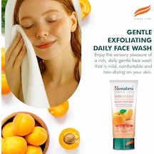 Since 1930 Peeling Etkili Hassas Yüz Temizleme Jeli, Kayısı, Aloe, Parabensiz, Tüm Ciltler, 150 Ml 3 Paketi