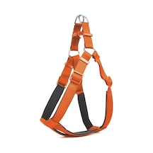 Köpek Göğüs Tasması Xxs 30 35 Cm Tcu Çok Renkli