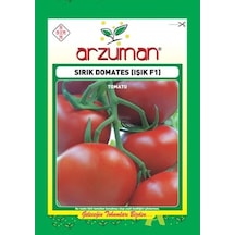 Arzuman Tohum Sırık Domates Işık F1 10 Adet Tohum