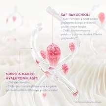Cellular Expert Lift Doğal Retinol Alternatifi Saf Bakuchiol Ve Hyaluronik Asit İçeren Kırışıklık Karşıtı Ve Nemlendirici Gece Kremi 50 Ml 33529472