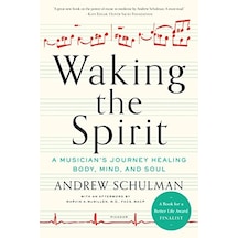Waking The Spirit: A Musician's Journey Healing Body, Mind And Soul