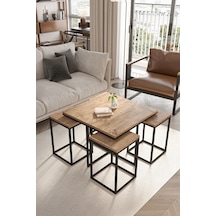 Siyah - Atlantik Çam