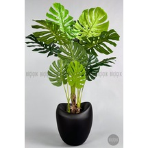 Yapay Monstera Ağacı Deve Tabani 170 Cm Mocha Lale Saksıda Kahverengi