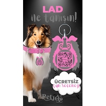 Petjoo 23.Lad Gri-Pembe Qr'lı Köpek Künyesi