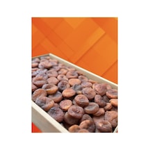 Gün Kurusu Jumbo Organik 1 Kg Diğer