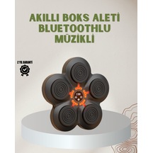 Bluetoothlu Akıllı Boks Antrenman Cihazı Işıklı Hedefli Kardiyo Ve Fitness Aleti Mh-hs3359-6378