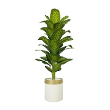 Yapay Di Fenbahya 170 Cm Krem Gold Metal Saksıda